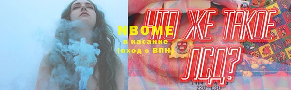 стаф Алексин