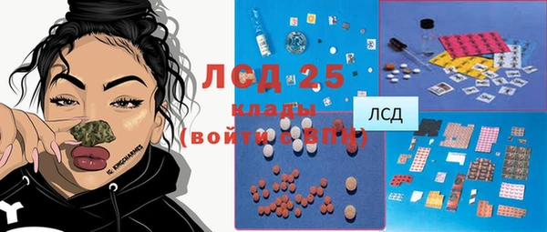 стаф Алексин