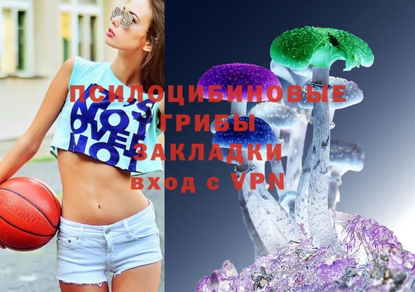 стафф Киренск