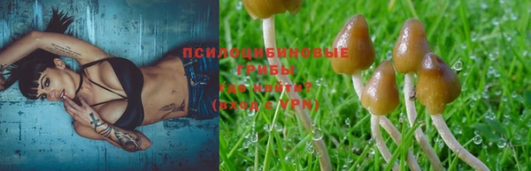 стаф Алексин