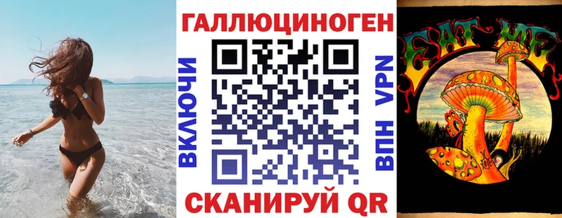 где купить   Елизово  kraken маркетплейс  Галлюциногенные грибы Psilocybe 