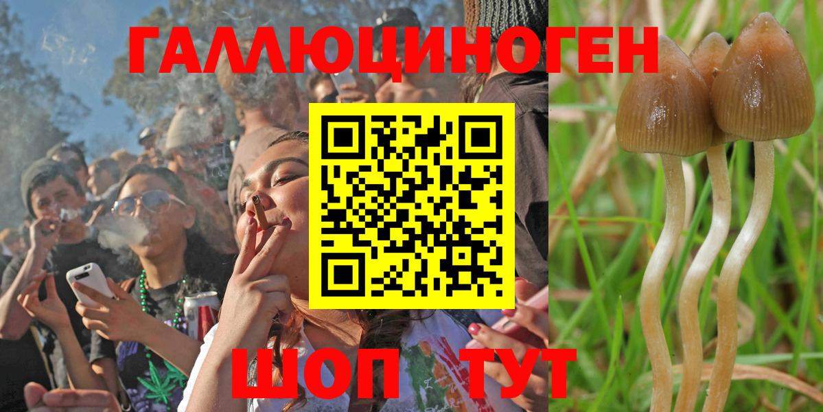 Галлюциногенные грибы Psilocybe  Вход с VPN  Псилоцибиновые грибы Magic Shrooms  Елизово 