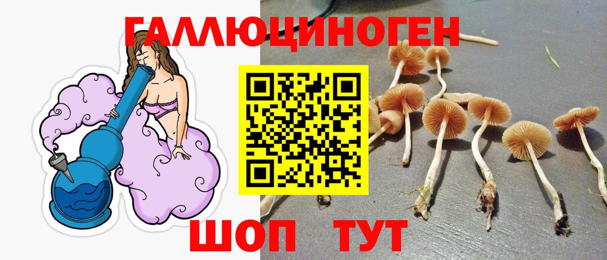 Галлюциногенные грибы Magic Shrooms Елизово
